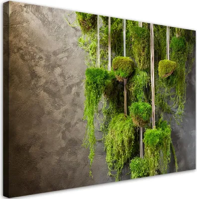 Produktbild von Leinwandbild Botanik Pflanzen Moos 60x40 Feeby Grün bild für die wand bereit zum aufhängen