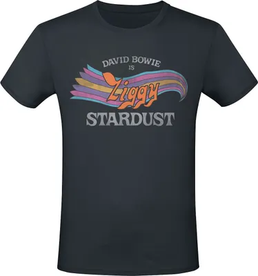 Produktbild von David Bowie T-Shirt Herren Ziggy Stardust schwarz XXL