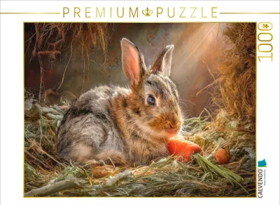 Produktbild von CALVENDO Puzzle Kaninchenportraits | 1000 Teile Lege-Größe 64x48cm Foto-Puzzle für glückliche Stunden