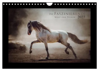 Produktbild von Die Faszinierende Welt der Pferde (Wandkalender 2027 DIN A4 quer), CALVENDO Monatskalender