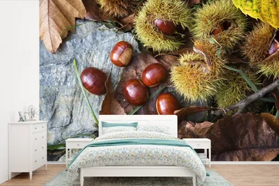Produktbild von MuchoWow® Fototapete für Wohnzimmer oder Schlafzimmer Wandtapete Vinyl Motivtapete Esskastanien auf dem Herbstboden - 330x220 cm - Fototapeten