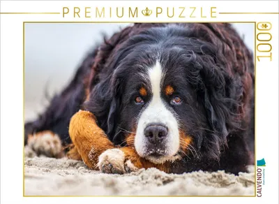 Produktbild von CALVENDO Puzzle Schau mir in die Augen... | 1000 Teile Lege-Größe 64x48cm Foto-Puzzle für glückliche Stunden