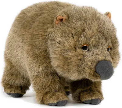 Produktbild von Plüschtier Wombat 28 cm, Beuteltier Kuscheltiere Stofftiere Australien Zootiere
