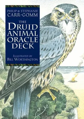 Produktbild von The Druid Animal Oracle Deck