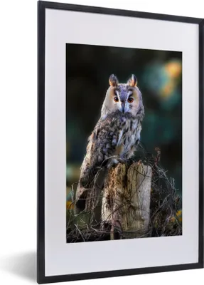 Produktbild von MuchoWow® Gerahmtes Poster Eule - Herbst - Vogel - Äste 40x60 cm - Poster mit Schwarzem Bilderrahmen Wandposter Rahmen Foto Bilder - Poster in Rahmen