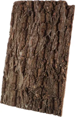 Produktbild von Terrarienschors für Reptilien - Schilddrüsenplatten für Schildkröten