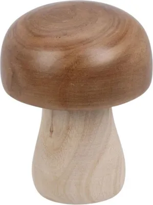 Produktbild von Holzfigur Pilz, 15 cm