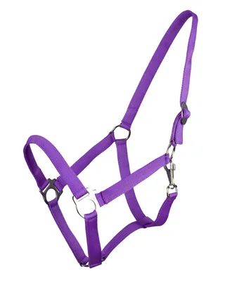 Produktbild von Halfter mit Schiebeschnalle Passion flower Shet