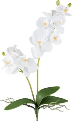 Produktbild von artplants.de Kunst Blume Phalaenopsis Orchidee KRUZBER, Steckstab, Wurzeln, weiß, 55cm - Deko Orchidee