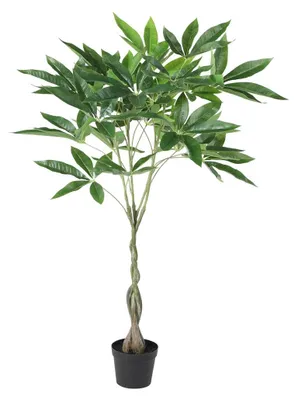 Imagen del producto de Eglo Yubetsu 428361