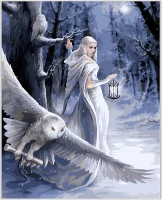 Zdjęcie produktu dla Midnight Messenger – Zestaw Do Malowania Według Numerów, 40 X 50 Cm