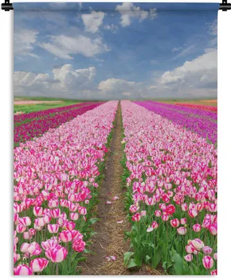 Produktbild von MuchoWow® Wandteppich Wandbehang Tulpen - Sonne - Frühling 60x80 cm Tapisserie Dekoration Wandtuch - Decke - Wandtücher - Wohne