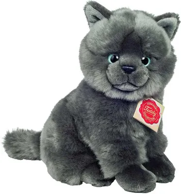A plush toy cat sitting on a white background.