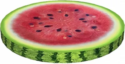 Produktbild von Stuhlkissen RING »Wassermelone« PH09
