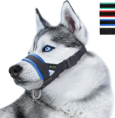 Produktbild von Nachhaltiger und verstellbarer Maulkorb für kleine, mittelgroße und große Hunde - verhindert Beißen, Kauen und Bellen - XL Blau Maulkorb