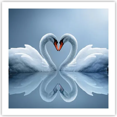 Produktbild von Poster - Poster ohne Rahmen - Ladung Dampf Wasser - 60x60 cm - Wand Bild - Wanddeko - Wandbilder - Kunstposter - Wandposter - Bilder - Kunstdruck - Wanddekoration - Wandbild - P2XAC60x60-3541