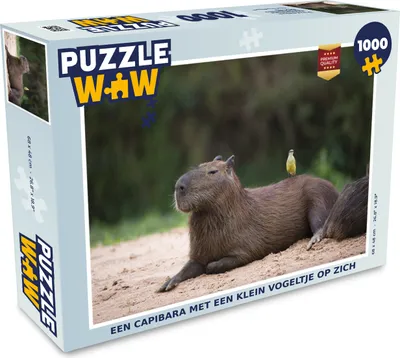 Obrázek produktu pro MuchoWow MuchoWow® Puzzle 1000 ks Kapybara s malým ptákem na sobě