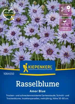 Artikelbild 2 von 'Rasselblume Amor Blue' aus der Kategorie Blumensamen