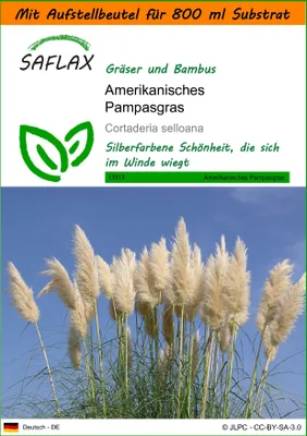 Produktbild von SAFLAX - Garden in the Bag - Gräser-Bambus-Amerikanisches Pampasgras - 200 Samen - Mit Anzuchtsubstrat im praktischen, selbst aufstellenden Beutel - Cortaderia selloana