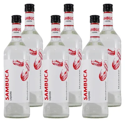 Produktbild von Madruzzo Sambuca (6 x 1,0L)