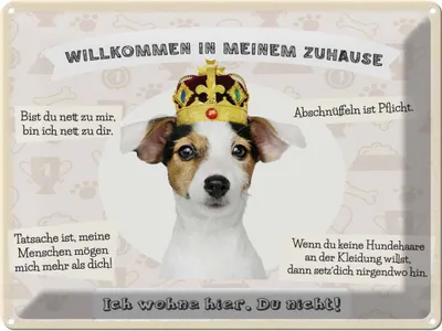 Produktbild von vianmo Blechschild 30x40 cm Tiere Hund willkommen wohne hier Tier Haustier