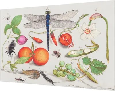 Produktbild von Wandtapete - Dekorative Tapete für Wohnzimmer- Tapetenfolie für Wanddekoration - 104x70 cm - Naturillustration