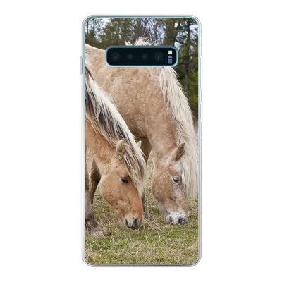 Produktbild von MuchoWow® Handyhülle Schutzhülle Hülle für Samsung Galaxy S10 Lite Zwei grasende Fjordpferde auf einer Wiese Silikon Softcase Handy Hülle - Schutz