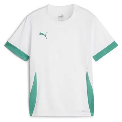 Produktbild von Puma Teamgoal Matchday Trikot Kurzarm Kinder - Weiß / Grün