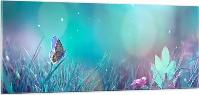 Produktbild von Bilder auf glas - Schmetterling Wiese Blume - 100x40cm - Glasbilder - Wandbilder - Kunstdruck - zum Aufhängen bereit - Wanddekoration aus Glas - Glas Bilder - Wandbild auf Glas - GAB100x40-4077