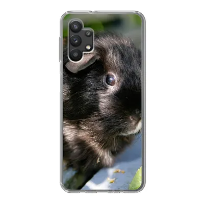 Produktbild von MuchoWow® Handyhülle Schutzhülle Hülle für Samsung Galaxy A32 5G Meerschweinchen im Garten Silikon Softcase Handy Hülle - Softcase