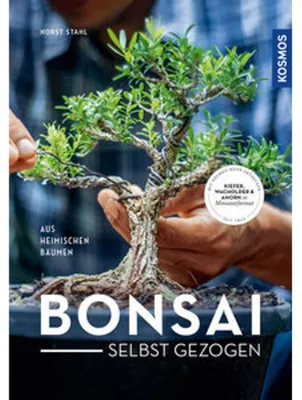 Image de Bonsai selbst gezogen