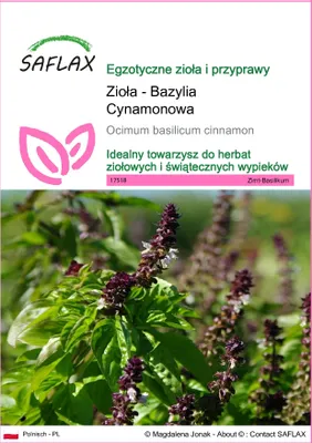 Zdjęcie produktu dla SAFLAX - Zioła - Bazylia Cynamonowa - 200 Nasiona - Ocimum basilicum cinnamon