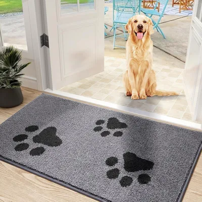 Produktbild von Tš¹rmatte Inenn 50 x 80 cm, Schmutzfangmatte fš¹r den Eingang und Hintertš¹r, rutschfeste Fu?matten, maschinenwaschbar, weicher Haustierteppich fš¹r schlammige Schuhe und Pfoten, Grau