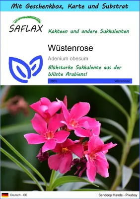 Produktbild von SAFLAX - Geschenk Set - Sukkulenten - Wüstenrose - 8 Samen - Mit Geschenk- / Versandbox, Versandaufkleber, Geschenkkarte und Anzuchtsubstrat - Adenium obesum