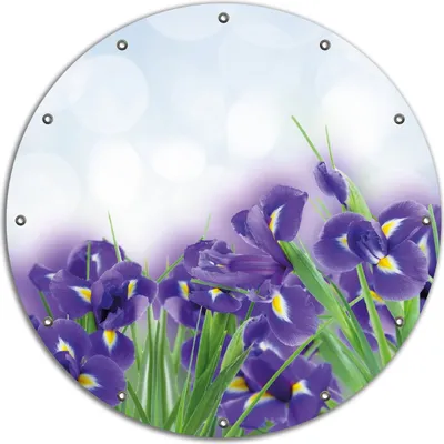 Produktbild von Wallario rundes Outdoor-Poster für Garten oder Balkon, Motiv Abstrakte blaue Schwertlilien in Nahaufnahme, 90 cm Durchmesser