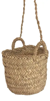 Produktbild von Hängekorb Palm