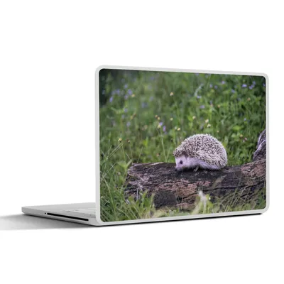 Produktbild von MuchoWow® Laptop Aufkleber Sticker Cover Igel auf Baumstumpf 30x22 cm - Laptop-Sticker
