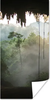 Produktbild von MuchoWow® Poster Natürliche Höhle im Regenwald von Malaysia 20x40 cm - Plakat - Foto