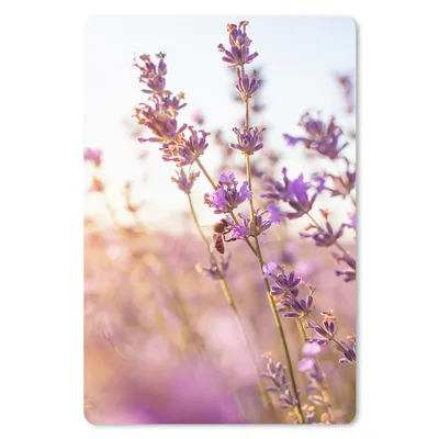 Produktbild von MuchoWow® Mauspad Mousepad Lavendel - Nahaufnahme - Sonne - Blumen - Lila 40x60 cm - Mousepads - Maus Mat - Pad - Mausunterlage - Schreibtisch Accesoire