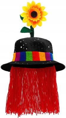 Imagen del producto de Sombrero de payaso negro con pelo