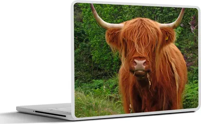 Produktbild von MuchoWow® Laptop Aufkleber Sticker Cover Schottisches Hochlandrind - Kuh - Gras 32.5x23.5 cm - Sticker für Laptop - Selbstklebend