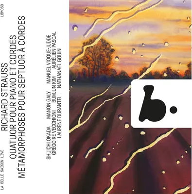 Obrázok produktu pre Richard Strauss (1864-1949): (CD / K)