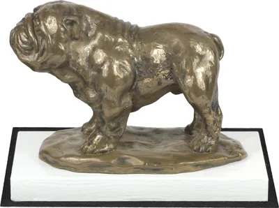 Immagine prodotto di Bulldog I - Statua di cane, figura su piedistallo bianco, trofeo per l'esposizione canina Art Dog.