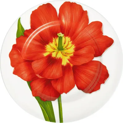 Immagine prodotto di Taitù Freedom - Piatto piano 27 cm, rosso