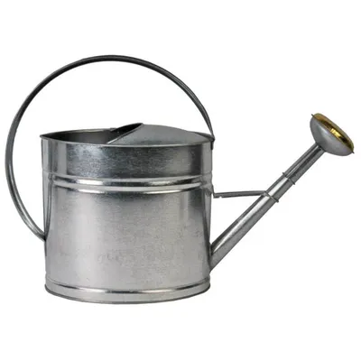 Obrázok produktu pre Talen Tools Gieter Gegalvaniseerd 10 litrov