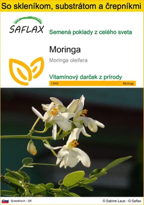 Obrázok produktu pre SAFLAX Kultivačný set - moringa - Moringa oleifera - 10 Semená - S mini skleníkom, pestovateľským substrátom a 2 črepníkmi