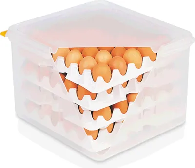 Immagine prodotto di Scatola per uova / scatola di stoccaggio, plastica, GN 2/3, HACCP, 20 cm di altezza