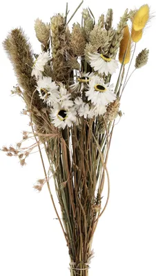 Produktbild von Trockenblumenstrauß Strohblumen Phalaris Deko Boho 30cm