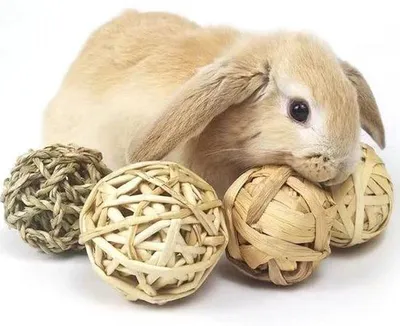 Immagine prodotto di 9 palline di fieno per piccoli animali - Giocattoli interattivi per piccoli roditori: palline di fieno e giocattoli rotolanti per coniglietti, criceti, conigli, cincillà, scoiattoli, ratti e topi