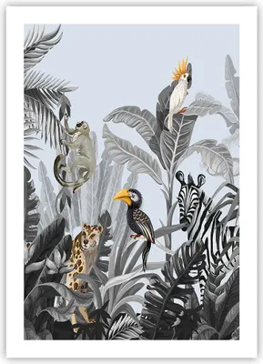 Produktbild von Poster - Poster ohne Rahmen - Dschungel Tiere Tukane - 50x70 cm - Wand Bild - Wanddeko - Wandbilder - Kunstposter - Wandposter - Bilder - Kunstdruck - Wanddekoration - Wandbild - P2XPA50x70-4662